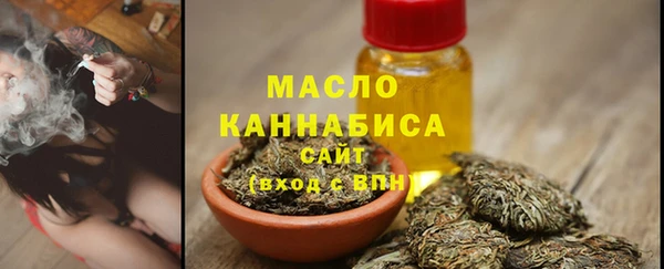 прущий лед Вяземский