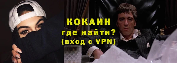 прущий лед Вяземский