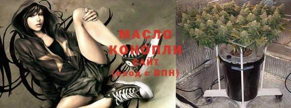 прущий лед Вяземский