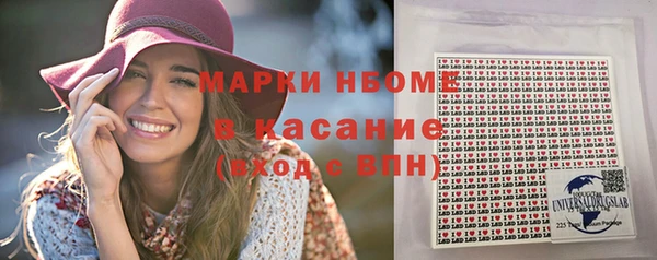 прущий лед Вяземский