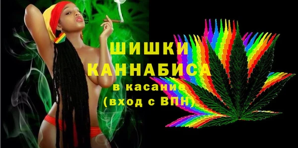 прущий лед Вяземский