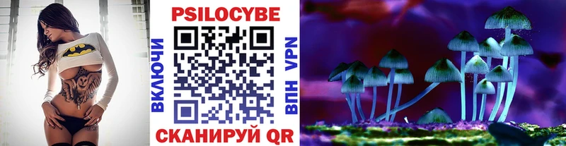 Купить где  Макарьев  Псилоцибиновые грибы Magic Shrooms 